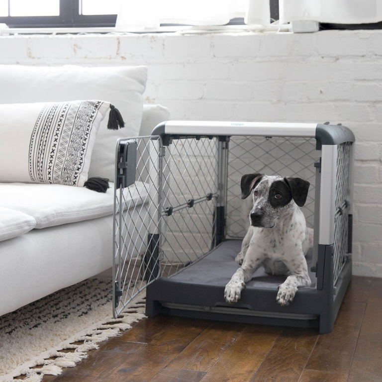 Diggs Revol Dog Crate