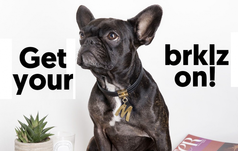 Brklz Jewelry for Dogs
