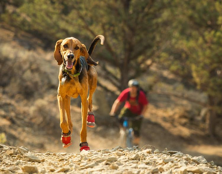 Ruffwear Grip Trex Dog Boots