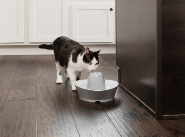 PetSafe Creekside Ceramic Pet Fountain