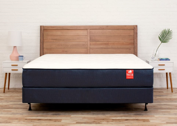Big Fig Mattress + Foundation
