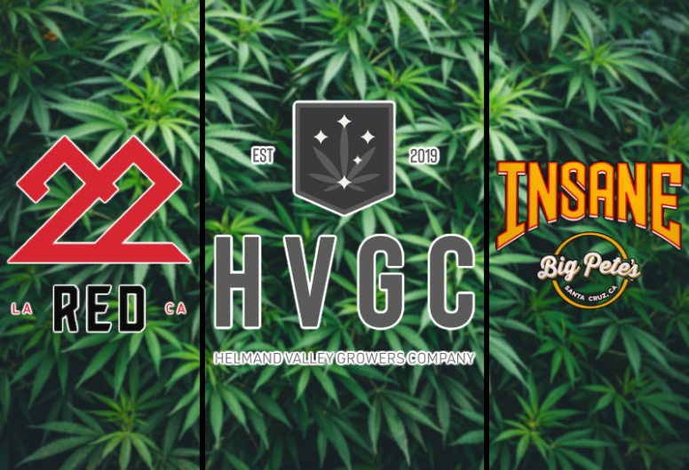 Top 2022 Cannabis Brands