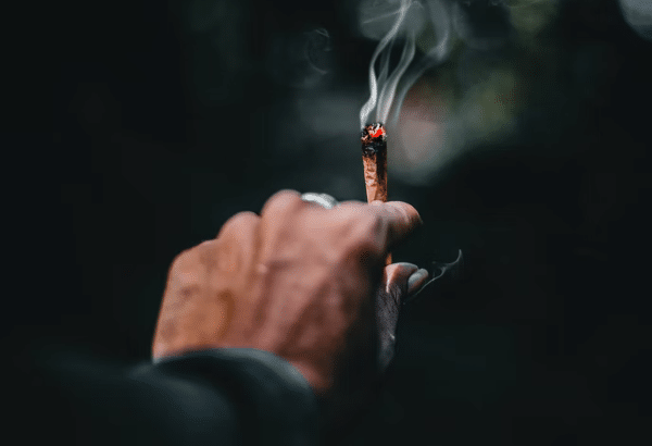 Grow cannabis in Arizona