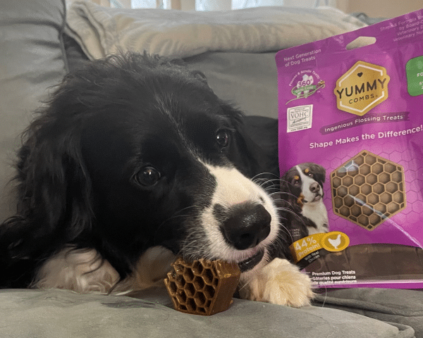 Pets Best Life Yummy Combs