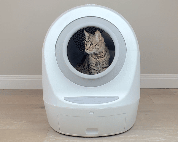 Casa Leo Leo’s Loo Too