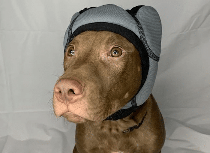 PAWNIX Noise-Cancelling Headset