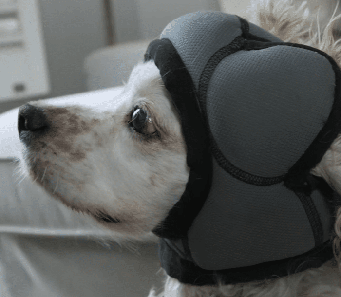 PAWNIX Noise-Cancelling Headset