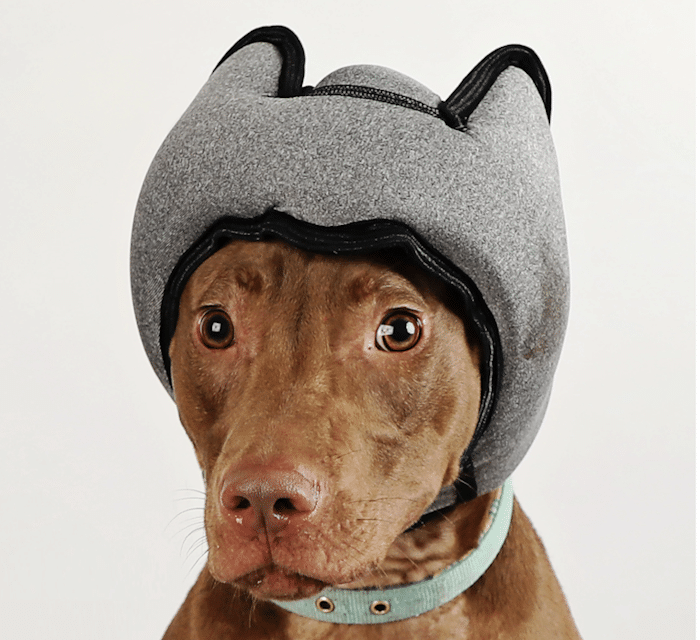 PAWNIX Noise-Cancelling Headset