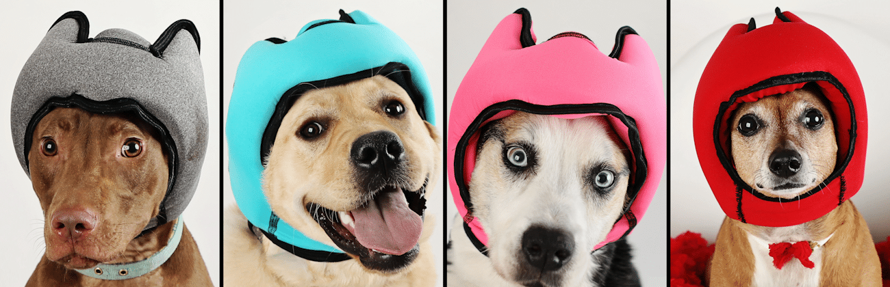 PAWNIX Noise-Cancelling Headset