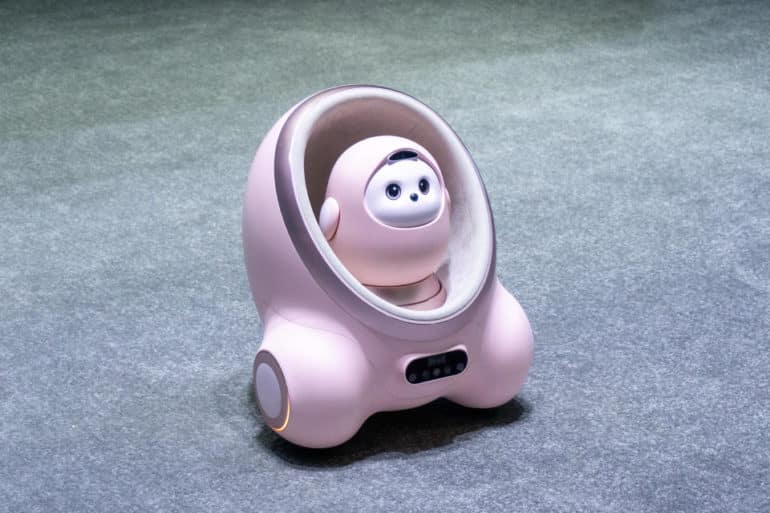 CES 2025 robots