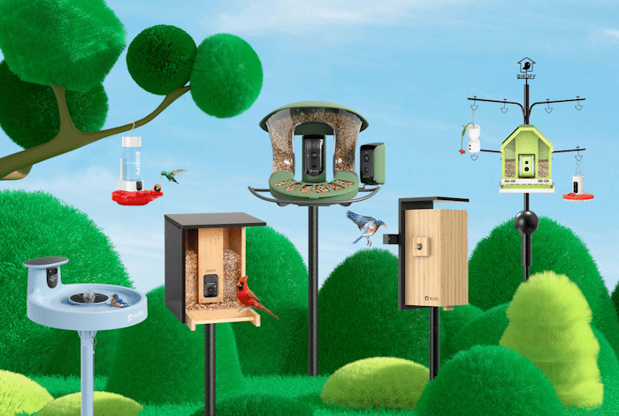 Birdfy Smart Bird Feeders