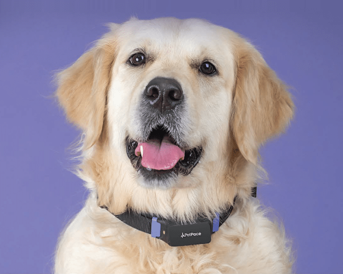 PetPace Smart Collar 2.0