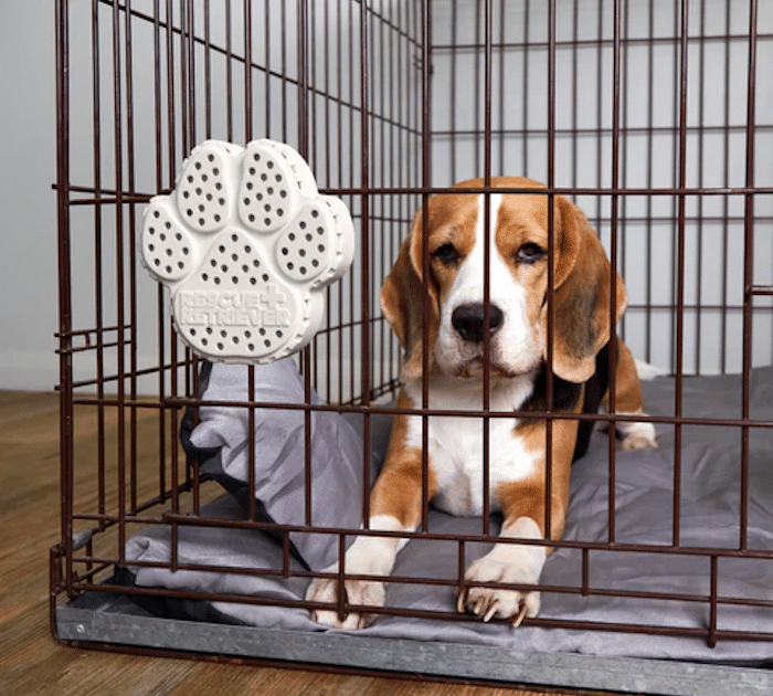 Rescue Retriever Smoke Alarm