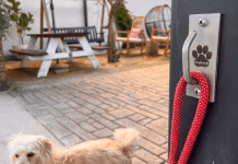 Doghook Standard – Stainless Steel Dog Leash Holder Doghook Standard