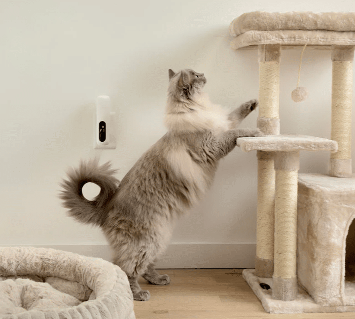 Zesty Paws Cat Calming Diffuser